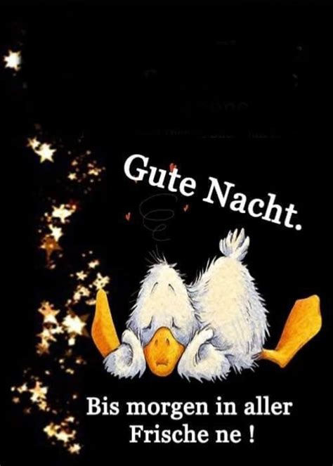 guten nacht bis morgen